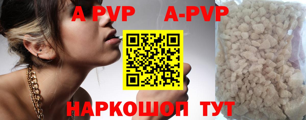 A PVP СК КРИС Нижнекамск